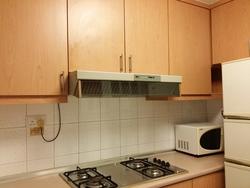 Emerald Park (D3), Condominium #123773662